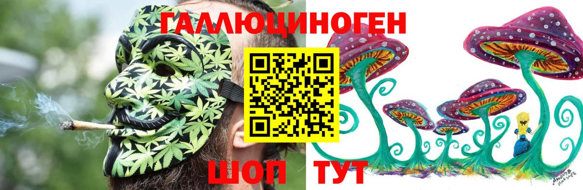 Галлюциногенные грибы MAGIC MUSHROOMS Надым