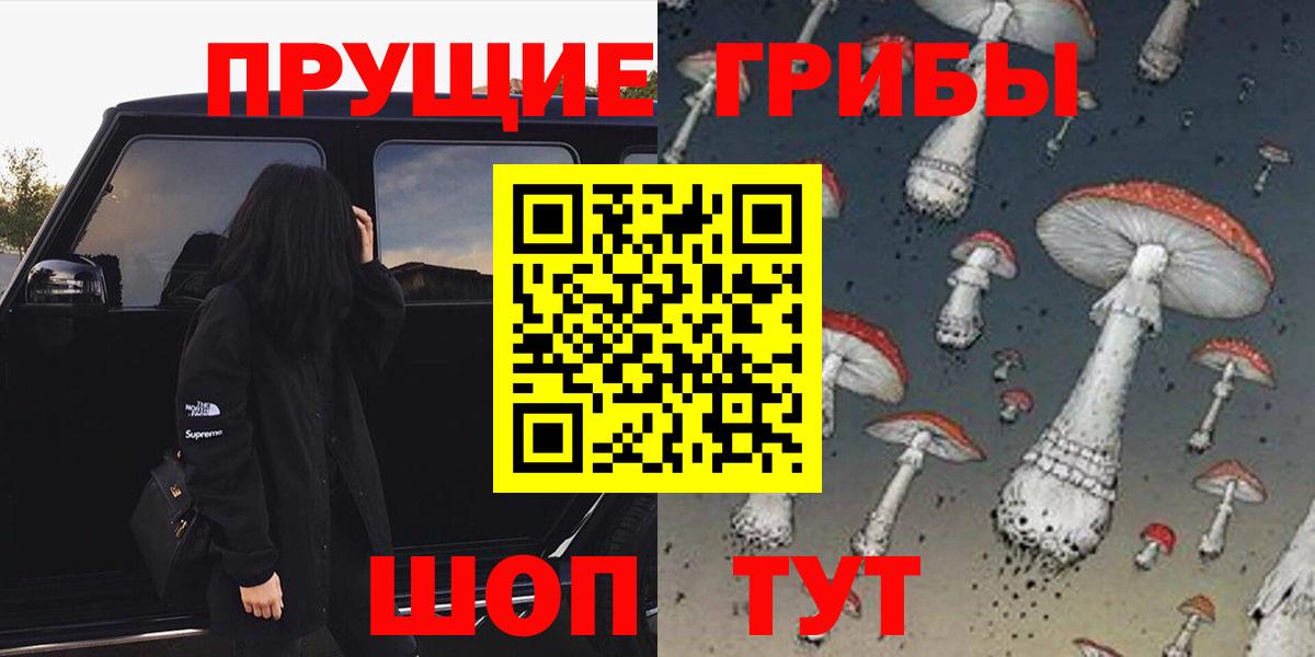 Псилоцибиновые грибы Psilocybine cubensis  Вход с VPN  Надым 
